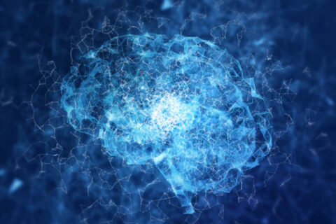 Brain Cells