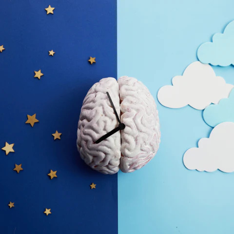 Brain Watch