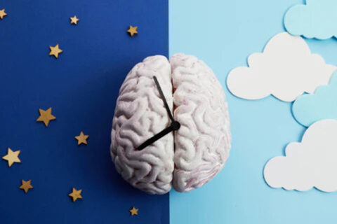 Brain Watch